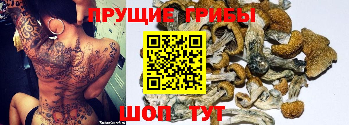 Кимры  Галлюциногенные грибы GOLDEN TEACHER  Галлюциногенные грибы Cubensis  Вход с VPN 