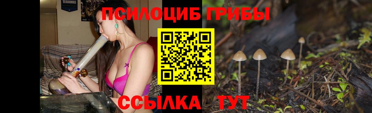 Галлюциногенные грибы Psilocybe Кимры